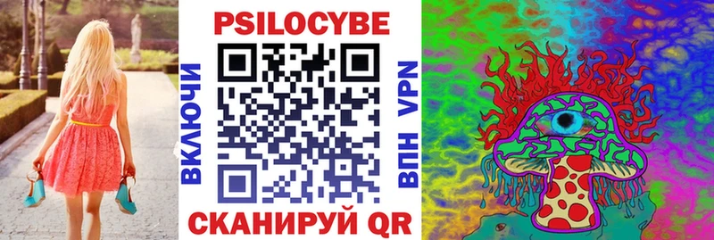 цены наркотик  Шарья  Псилоцибиновые грибы мицелий 